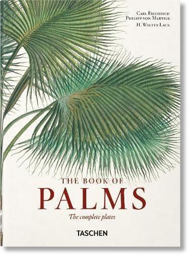 The Book of Palms 40th Edition | Taschen, , medium