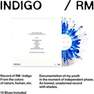 BIG HIT ENTERTAINMENT - Indigo (Clear With Splatter Colored Vinyl) (1 Disc) | RM (BTS)