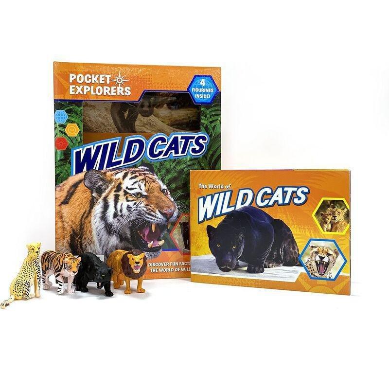Wildcats Pocket Explorers | Phidal, , medium