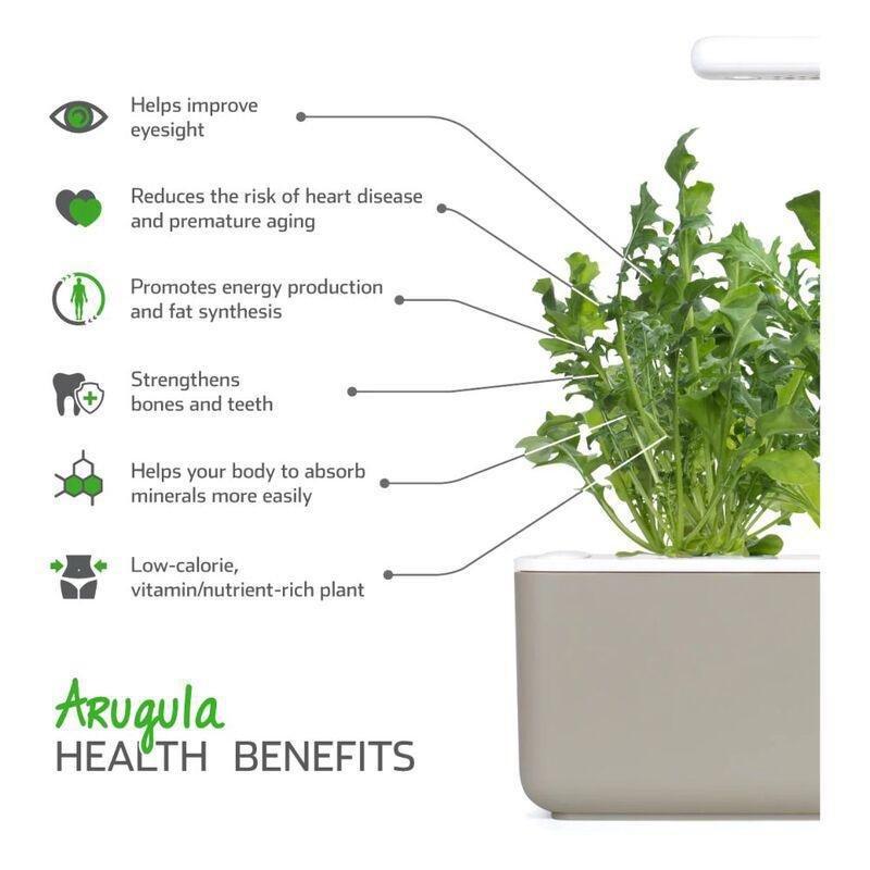 Click & Grow Plant Pods Arugula, , large image number 2