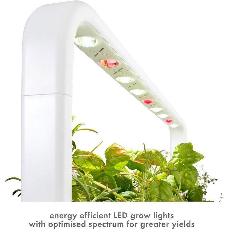 Click & Grow Indoor Smart Garden 9 & Tomato Mini Plant Pods Mini - White (Pack of 3), , large image number 1