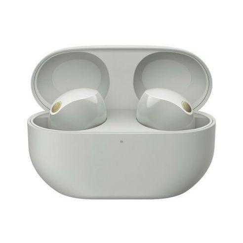 Sony WF-1000XM5 True Wireless Noise Cancelling Earbuds - Silver, , large image number 0