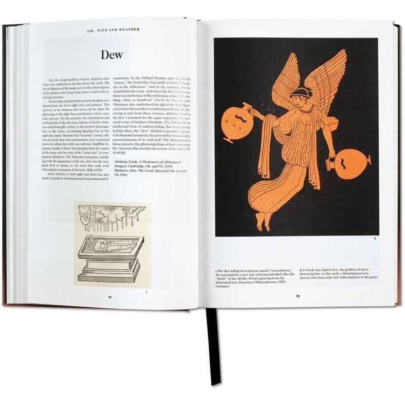The Book Of Symbols Reflections On Archetypal Images | A.R.A.S., , large image number 3