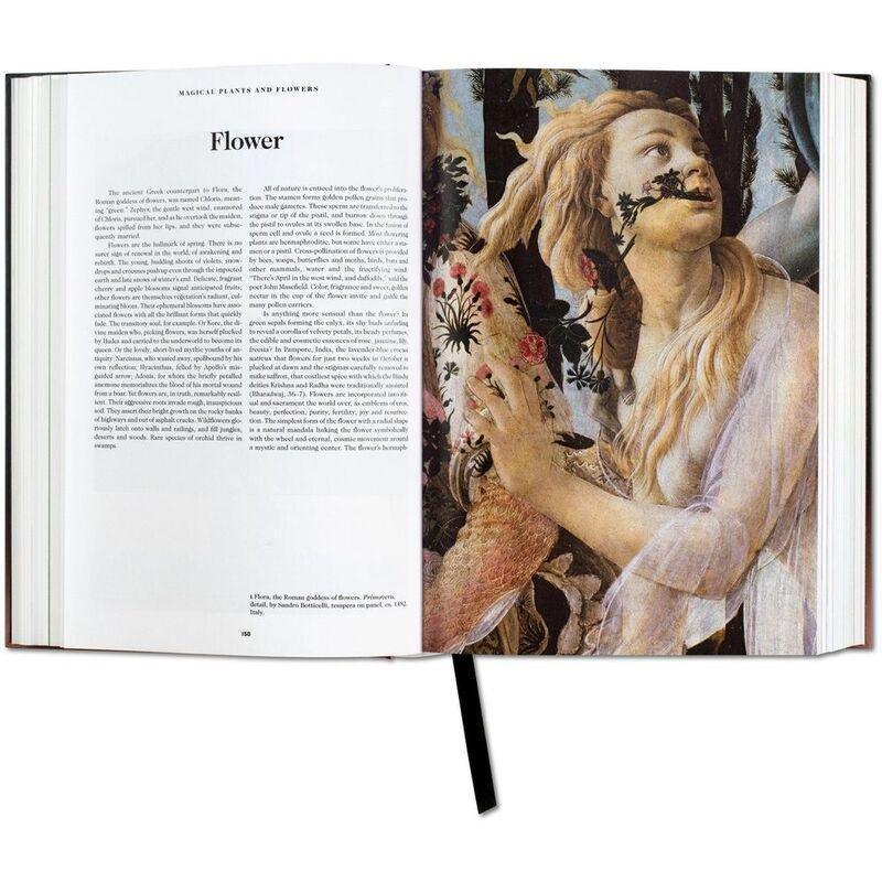The Book Of Symbols Reflections On Archetypal Images | A.R.A.S., , large image number 5