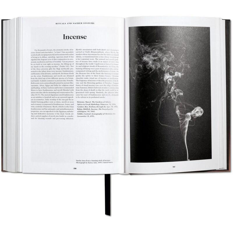 The Book Of Symbols Reflections On Archetypal Images | A.R.A.S., , large image number 7