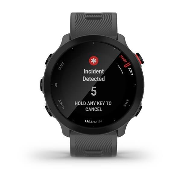 Garmin Forerunner 55 GPS Monterra Grey Smartwatch, , large image number 2