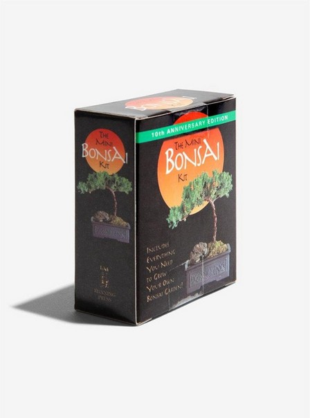 PERSEUS BOOKS GROUP USA - Mini Bonsai Kit | Mini-Kit