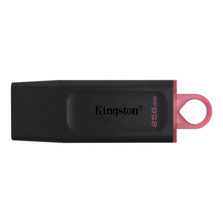 KINGSTON - Kingston 256GB DataTraveler Exodia Flash Drive