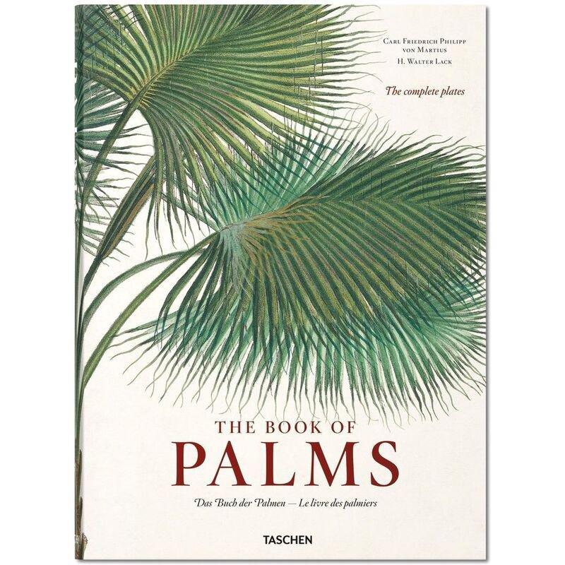 Martius. The Book of Palms | H. Walter Lack, , medium