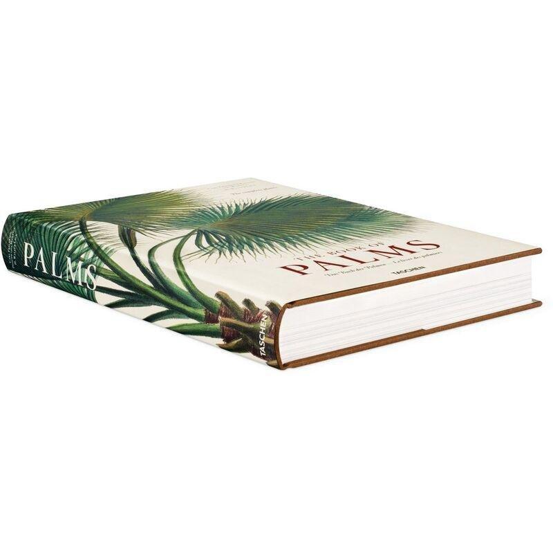 Martius. The Book of Palms | H. Walter Lack, , large image number 1
