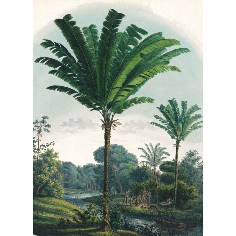 Martius. The Book of Palms | H. Walter Lack, , large image number 3