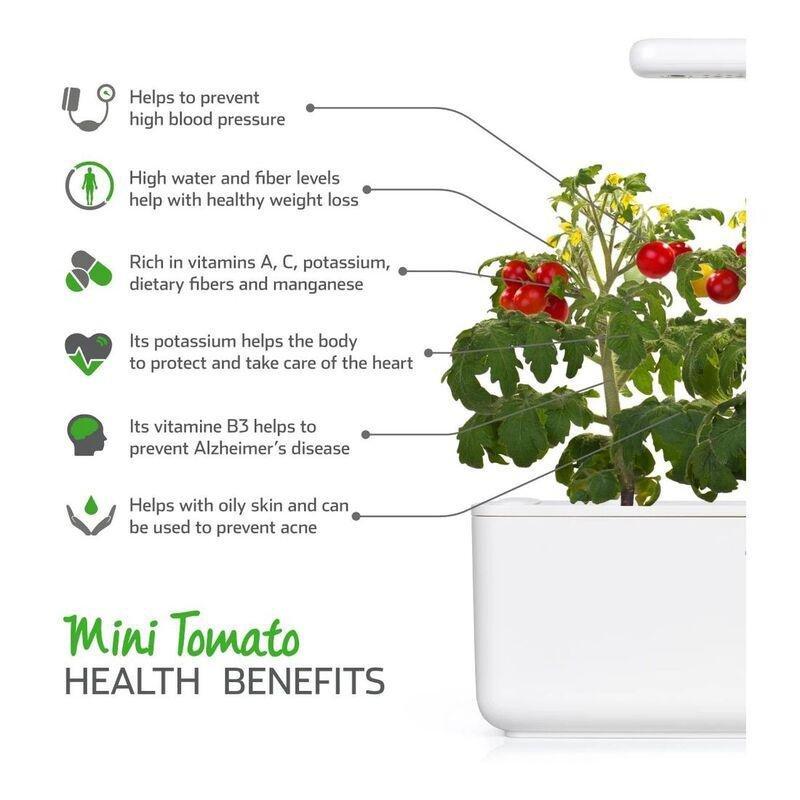 Click & Grow Mini Tomato Plant Pod (Pack of 3), , large image number 1