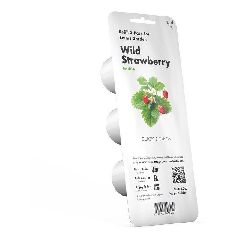 Click & Grow Wild Strawberry Refill (Pack Of 3), , large image number 0