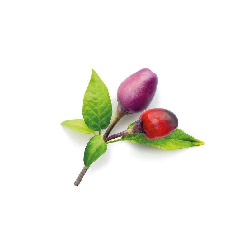 Click & Grow Purple Chili Smart Garden refill (Pack 0f 3), , medium