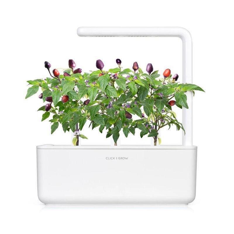 Click & Grow Purple Chili Smart Garden refill (Pack 0f 3), , large image number 1