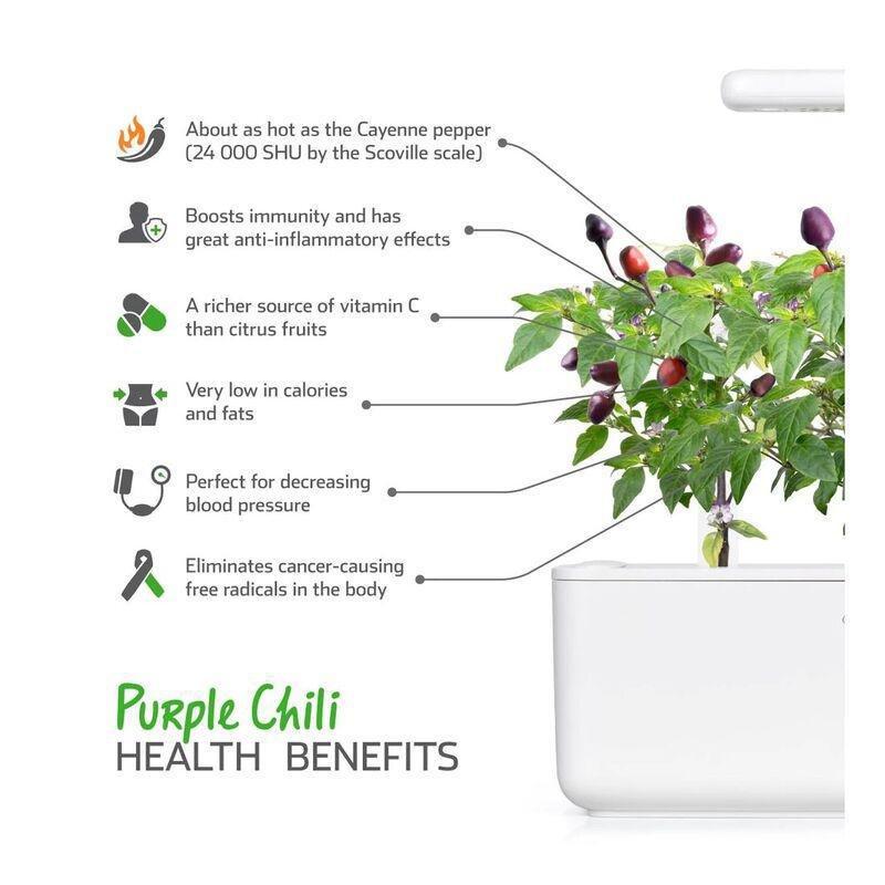 Click & Grow Purple Chili Smart Garden refill (Pack 0f 3), , large image number 3