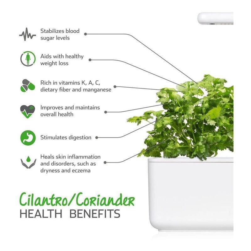 Click & Grow Coriander Refill (Pack of 3), , large image number 0