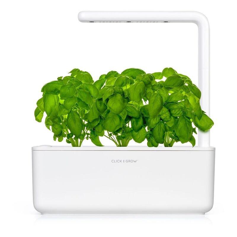 Click & Grow Coriander Refill (Pack of 3), , large image number 1