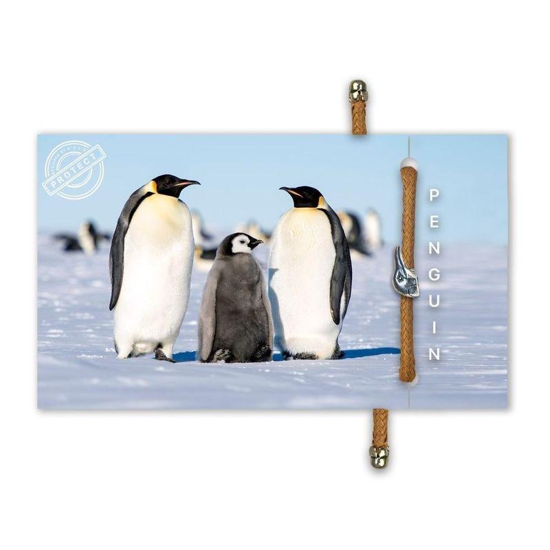 Native Bond Penguin Eco Bracelet, , large image number 1