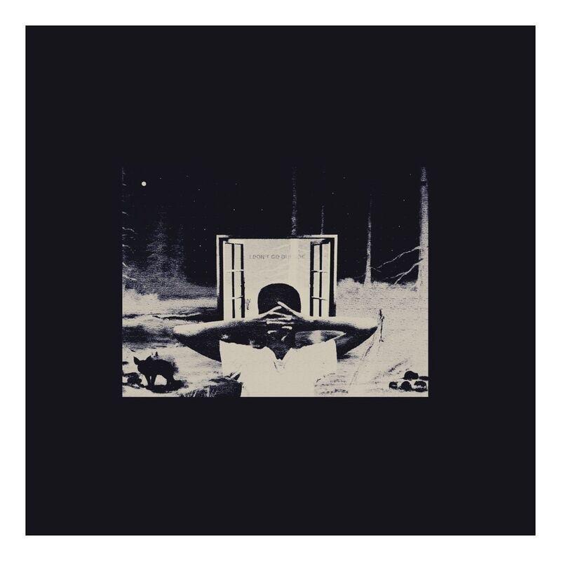 I Don't Like Sh*t - I Don't Go Outside | Earl Sweatshirt, , large image number 0