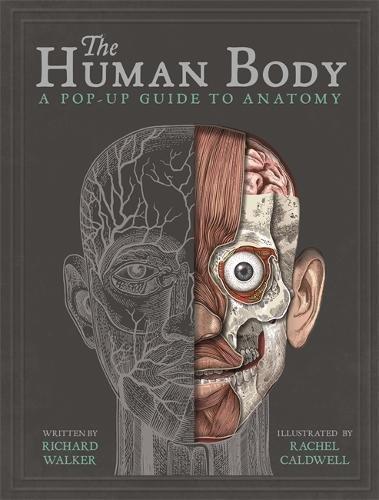The Human Body A Pop-Up Guide to Anatomy | Richard Walker, , medium