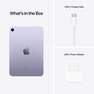 APPLE - Apple iPad Mini 8.3-Inch Wi-Fi 256GB - Purple Tablet