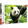 TREFL - Trefl Giant Panda Shutterstock Jigsaw Puzzle 48 X 34 cm (500 Pieces)