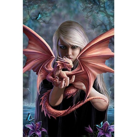 PYRAMID POSTERS - Anne Stokes Dragonkin Poster (61 x 91.5 cm)
