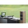 PRO-JECT AUDIO SYSTEMS - Pro-Ject Speaker Box 10 S2 Eucalyptus