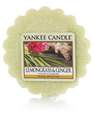 YANKEE CANDLE - Yankee Candle Tarts/Wax Melts Lemongrass & Ginger