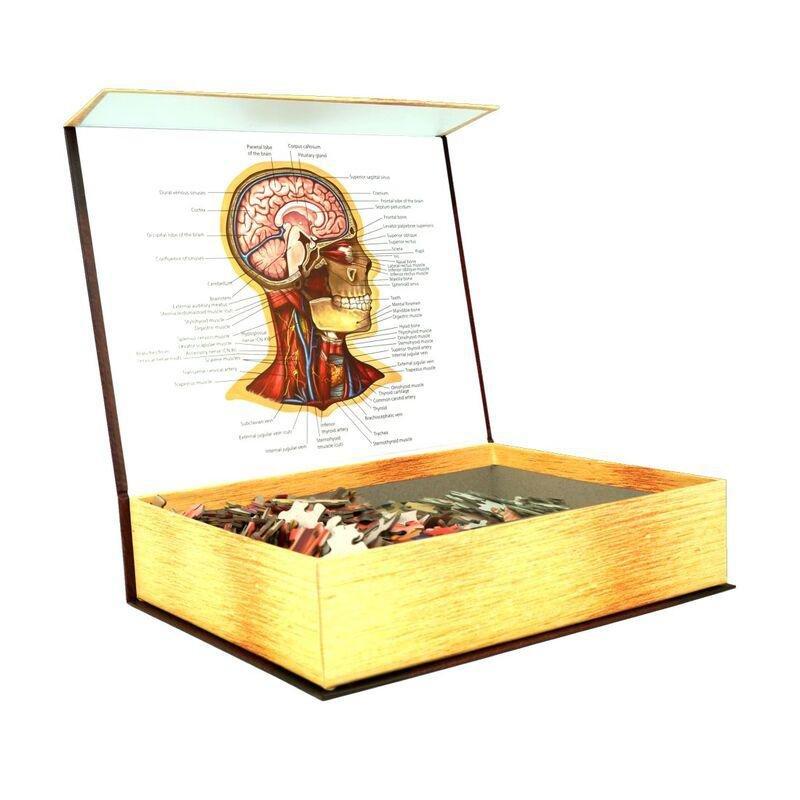 Genius Games Dr Livingston'S Anatomy The Human Head Jigsaw Puzzle (538 Pieces), , large image number 1