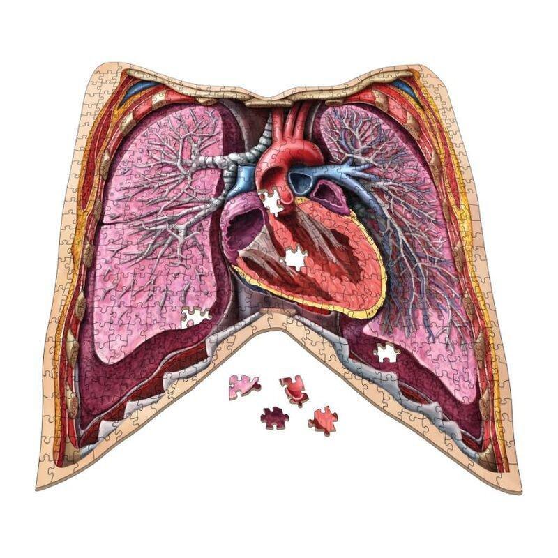 Genius Games Dr Livingston'S Anatomy The Human Thorax Jigsaw Puzzle (500 Pieces), , large image number 1