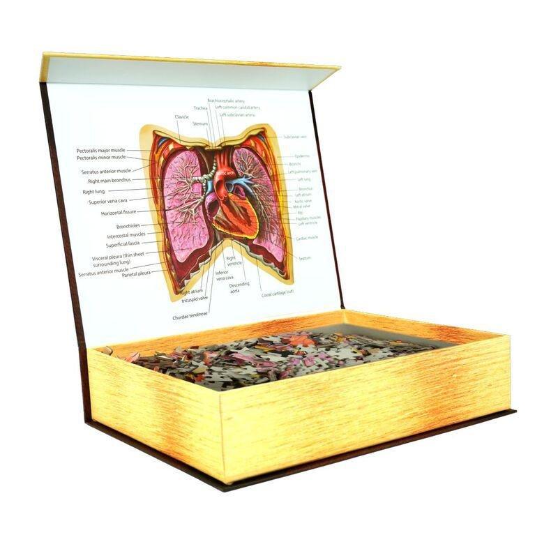 Genius Games Dr Livingston'S Anatomy The Human Thorax Jigsaw Puzzle (500 Pieces), , large image number 2