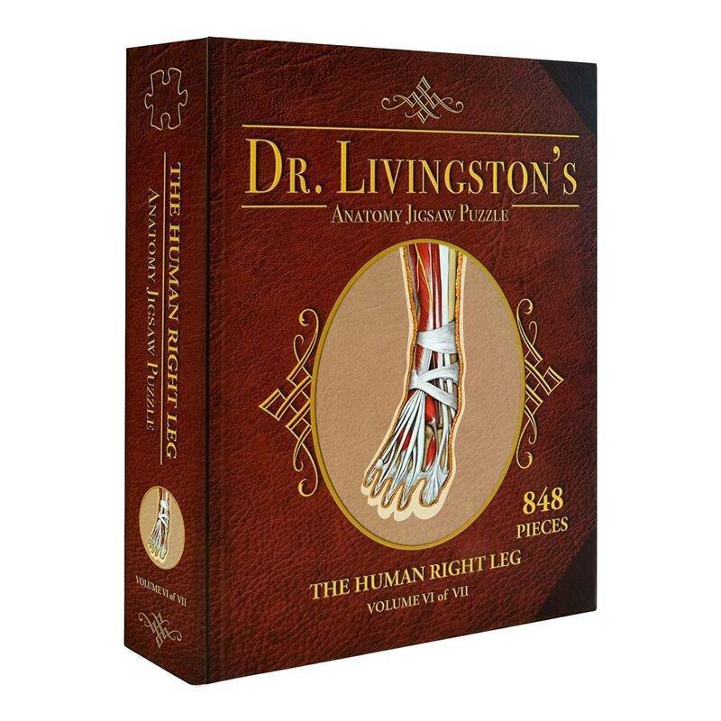 Genius Games Dr Livingston'S Anatomy The Right Leg Jigsaw (848 Pieces), , large image number 0