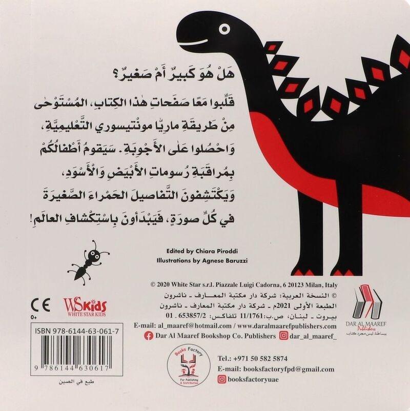 كبير أم صغير | كيارا بيرودي, , large image number 1