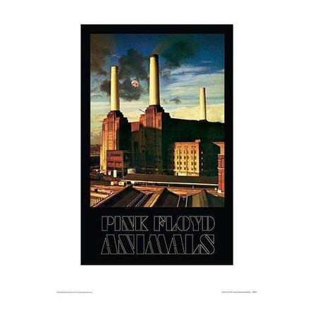 PYRAMID POSTERS - Pyramid Posters Pink Floyd Animals Mounted Framed (30 X 40 Cm)