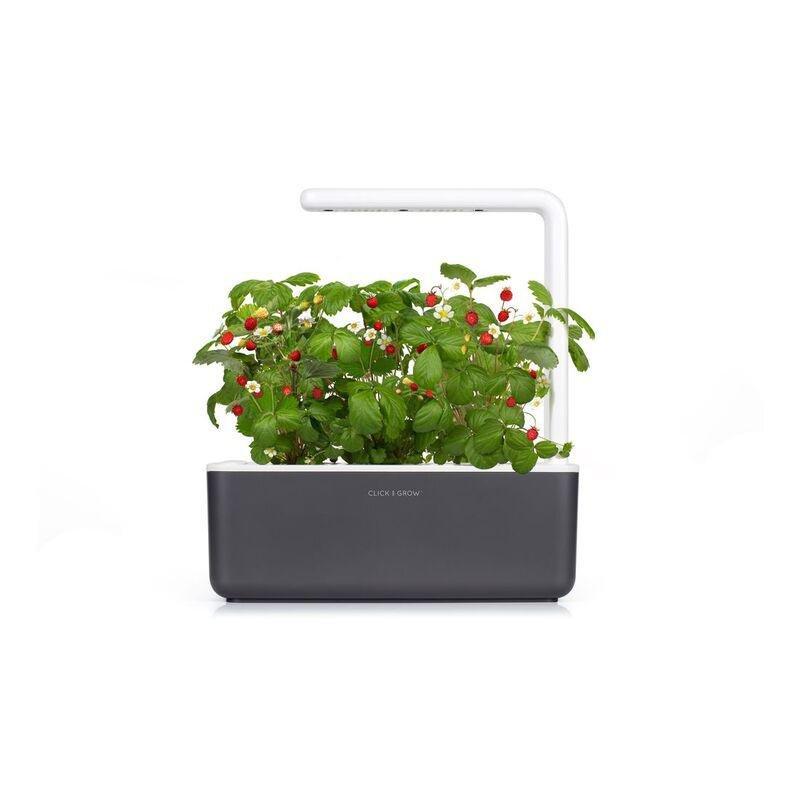Click & Grow Smart Garden 3 Dark Grey, , large image number 3