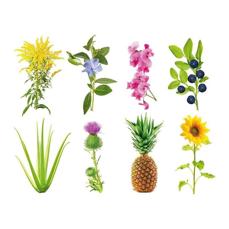Click & Grow Experimental Plant Pods (Pack of 3), , large image number 1