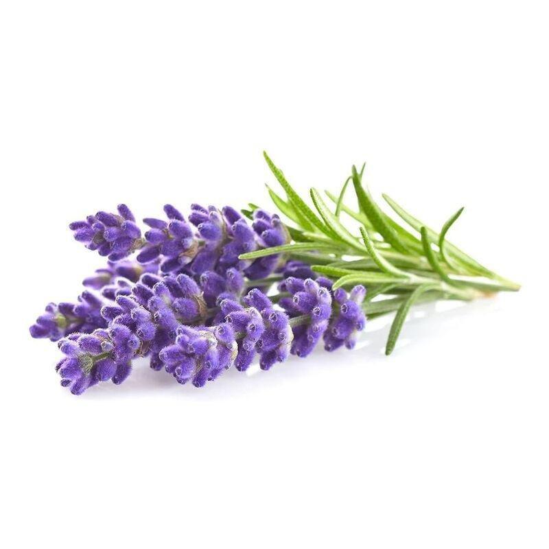 Click & Grow Lavender Plant Pod (Pack of 3), , large image number 0