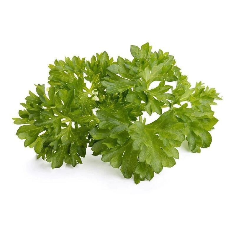 Click & Grow Curly Parsley Plant Pods (Pack of 3), , large image number 0