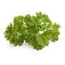 CLICK & GROW - Click & Grow Curly Parsley Plant Pods (Pack of 3)