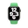 APPLE - Apple 45mm Sport Band Bright Green - Regular