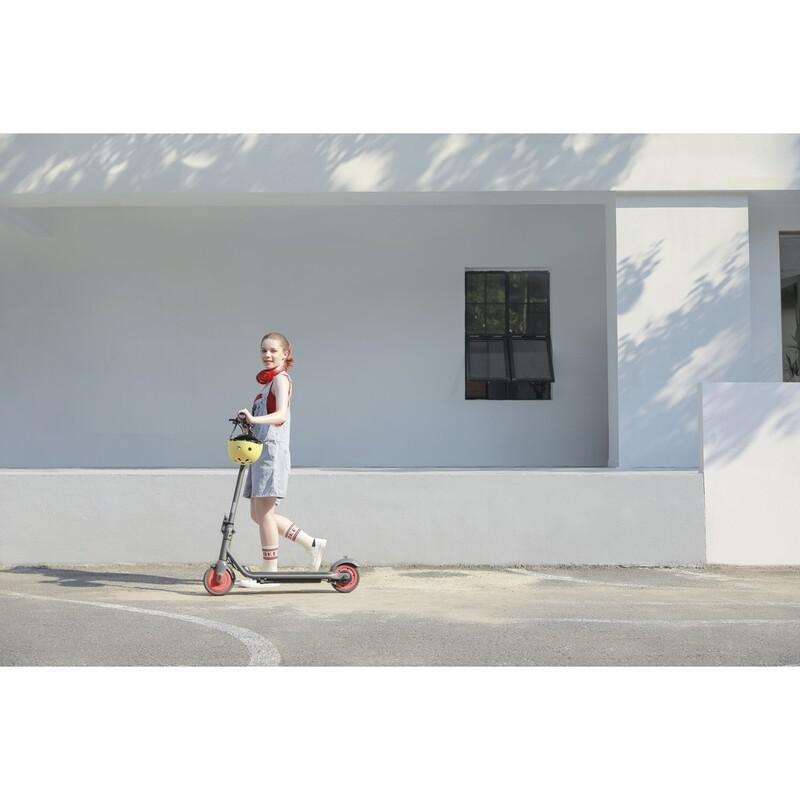 Ninebot By Segway KickScooter C20, , large image number 5