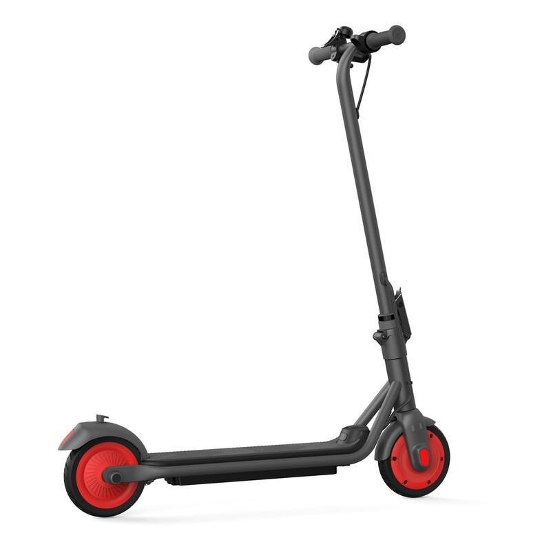 Ninebot By Segway KickScooter C20, , large image number 6