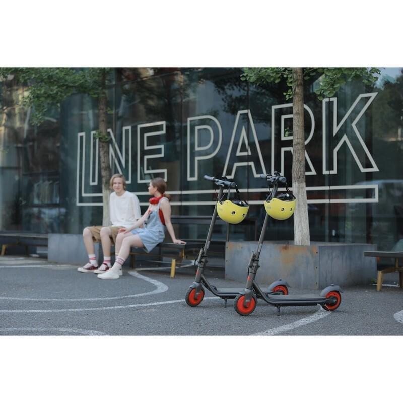 Ninebot By Segway KickScooter C20, , large image number 9