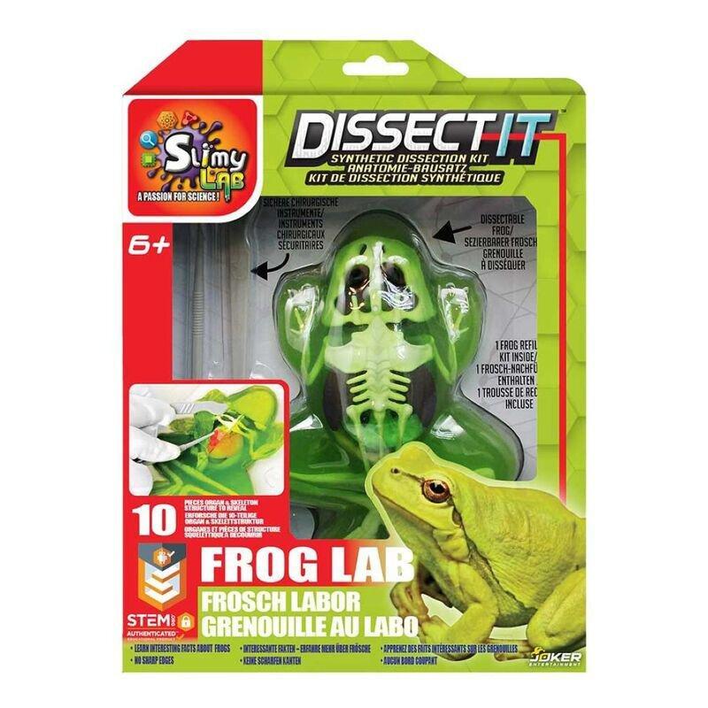 Slimy Lab Dissect It Lab Frog Synthetic Dissection Kit, , large image number 0