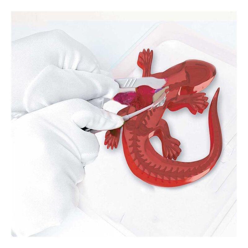 Slimy Lab Dissect It Lab Salamander Synthetic Dissection Kit, , large image number 0