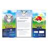 POKEMON TCG - Pokemon TCG Sword & Shield 10.5 Pokemon Go Premium Collection Radiant Eevee Box