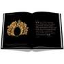 ASSOULINE UK - Gold  - The Impossible Collection | Berenice Geoffroy-Schneiter