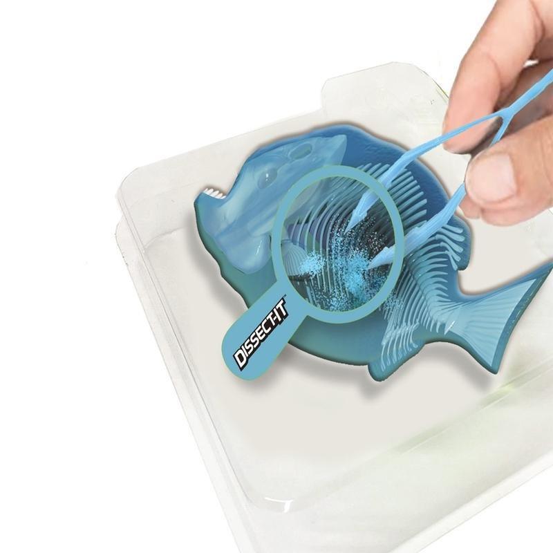 Slimy Lab Dissect-It Piranha Synthetic Dissection Kit, , large image number 1